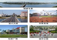 東莞到錦州物流專(zhuān)線(xiàn)|東莞到錦州物流公司|東莞至錦州貨運(yùn)專(zhuān)線(xiàn)